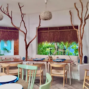 Toto Blue Boutique Bacalar